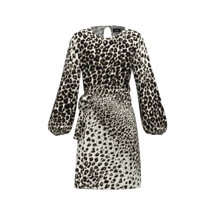 Μακρυμάνικο φόρεμα Emme - DELFI-001